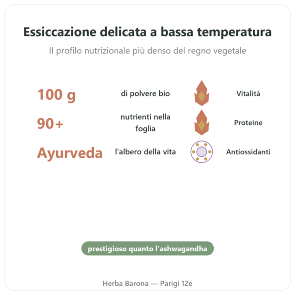 Moringa Bio in polvere 100 g – Bioptimal – Superalimento benefici e dati chiave Paris Herba Barona