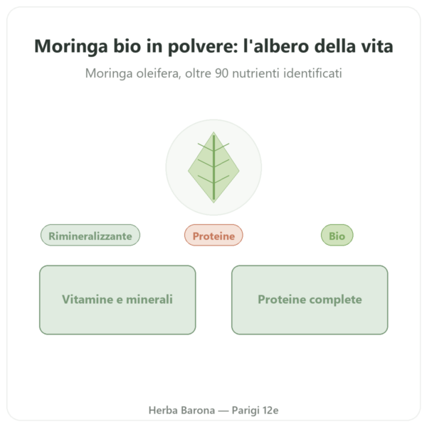 Moringa Bio in polvere 100 g – Bioptimal – Superalimento presentazione Paris Herba Barona