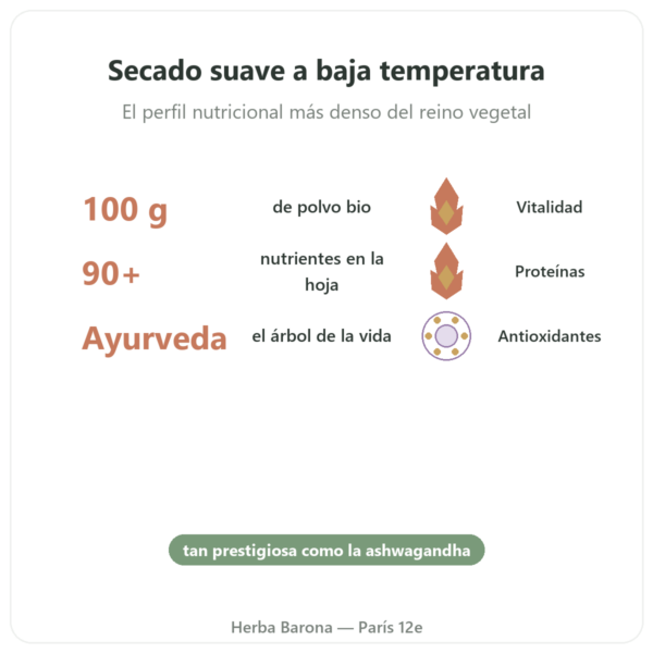 Moringa Bio en Polvo – 100 g – Bioptimal – Superalimento beneficios y datos clave Paris Herba Barona