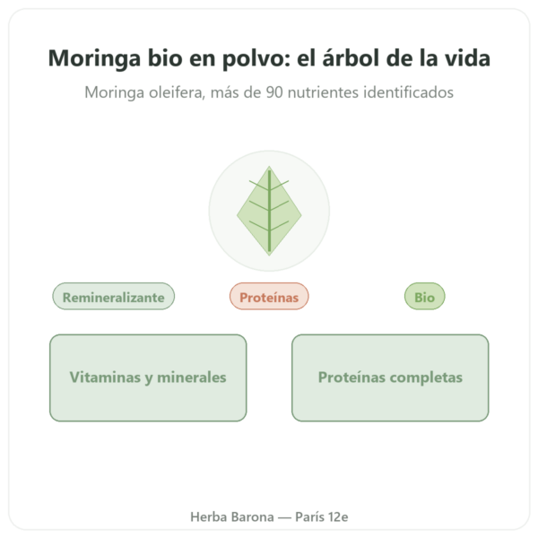 Moringa Bio en Polvo – 100 g – Bioptimal – Superalimento presentación Paris Herba Barona