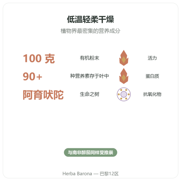 有机辣木粉 100 克 – Bioptimal – 超级食物 功效与数据 Paris Herba Barona