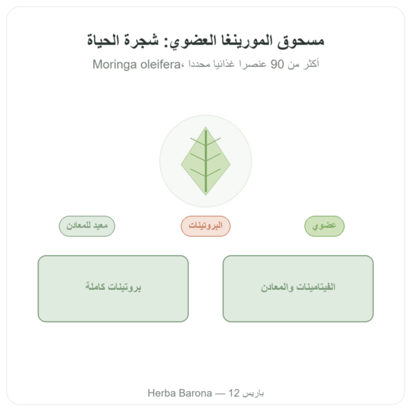 مورينجا عضوية بودرة – Bioptimal – سوبرفود عرض المنتج Paris Herba Barona