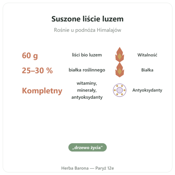 Moringa bio w liściach 60 g korzyści i najważniejsze fakty Paris Herba Barona