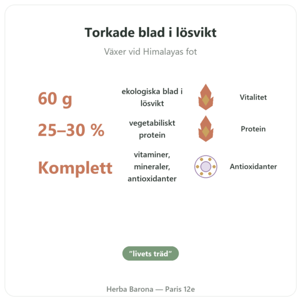 Moringa bio blad 60 g fördelar och nyckelfakta Paris Herba Barona