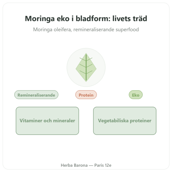 Moringa bio blad 60 g presentation Paris Herba Barona