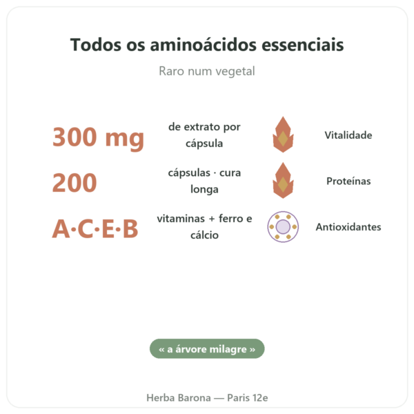 Moringa concentrado 300 mg – 200 cápsulas benefícios e dados principais Paris Herba Barona
