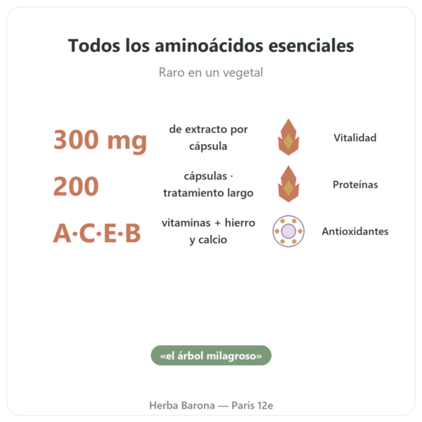 Moringa Concentrado 300 mg – 200 Cápsulas beneficios y datos clave Paris Herba Barona