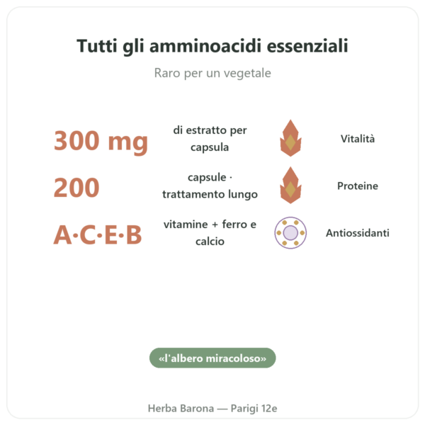Moringa concentrato 300 mg – 200 capsule benefici e dati chiave Paris Herba Barona