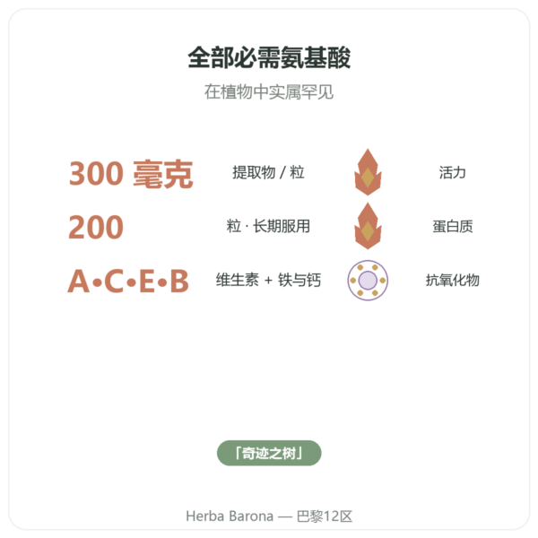 浓缩辣木 300 毫克 – 200 粒胶囊 功效与数据 Paris Herba Barona