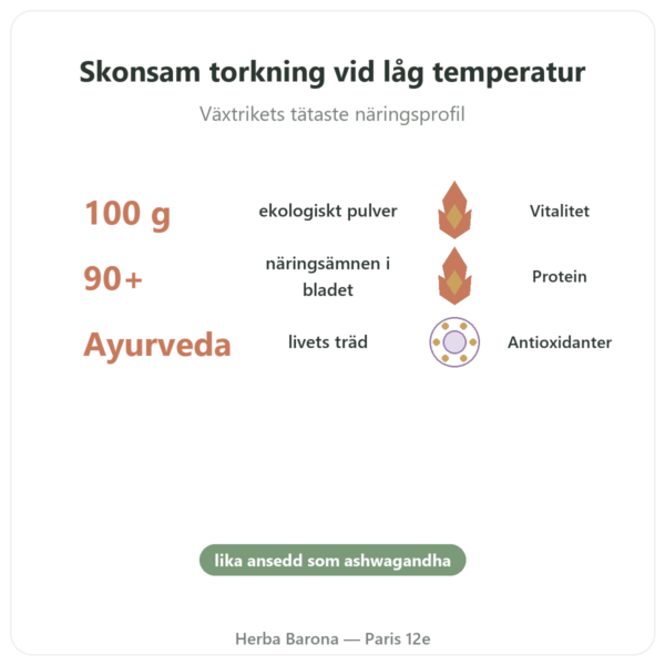 Moringa Ekologiskt Pulver 100 g – Bioptimal – Superfood fördelar och nyckelfakta Paris Herba Barona
