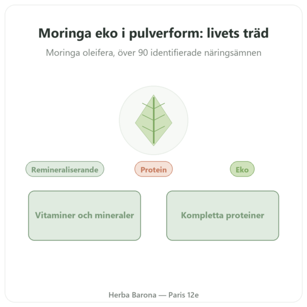 Moringa Ekologiskt Pulver 100 g – Bioptimal – Superfood presentation Paris Herba Barona