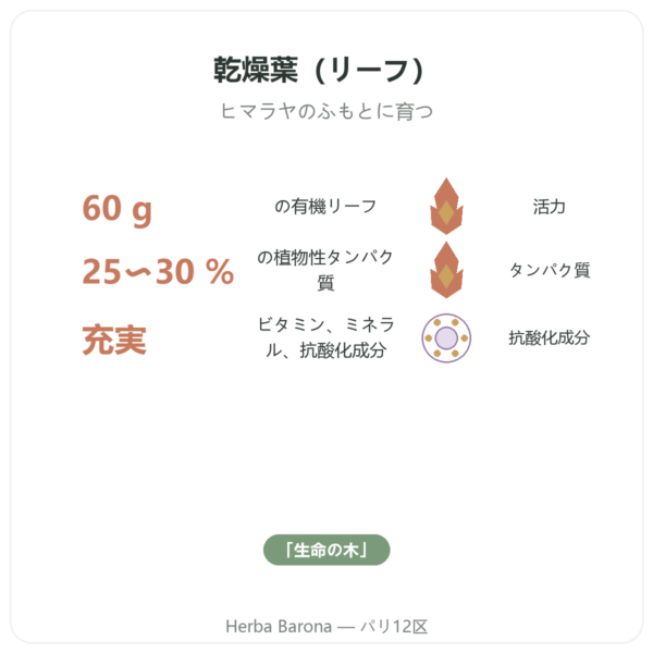 オーガニック モリンガ リーフ 60 g benefits and key facts Paris Herba Barona