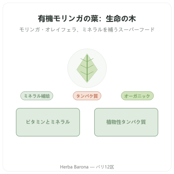 オーガニック モリンガ リーフ 60 g presentation Paris Herba Barona