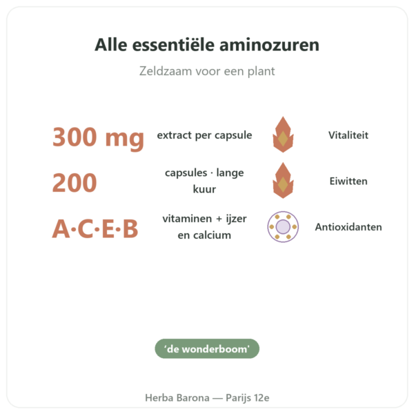 Moringa Geconcentreerd 300 mg – 200 capsules voordelen en kerngegevens Paris Herba Barona