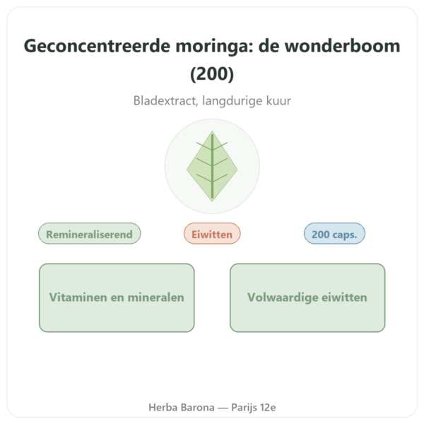 Moringa Geconcentreerd 300 mg – 200 capsules presentatie Paris Herba Barona
