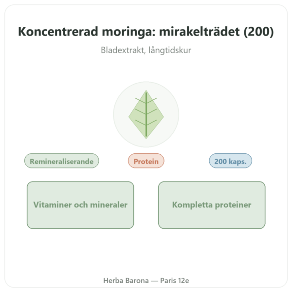 Moringa koncentrerad 300 mg – 200 kapslar presentation Paris Herba Barona