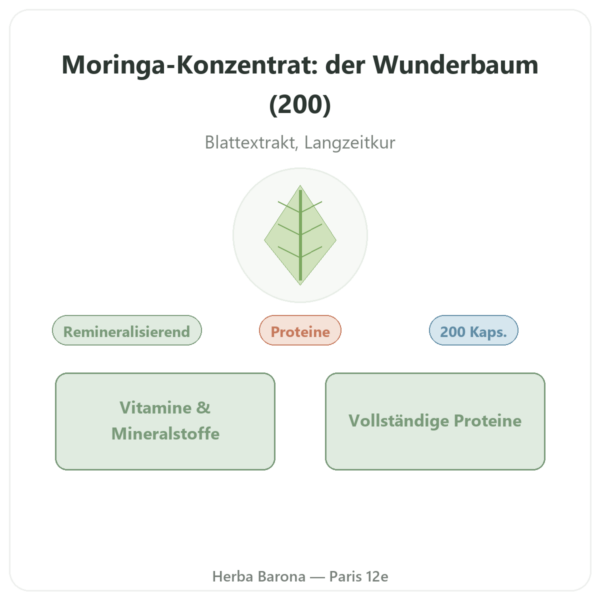 Moringa konzentriert 300 mg – 200 Kapseln Vorstellung Paris Herba Barona