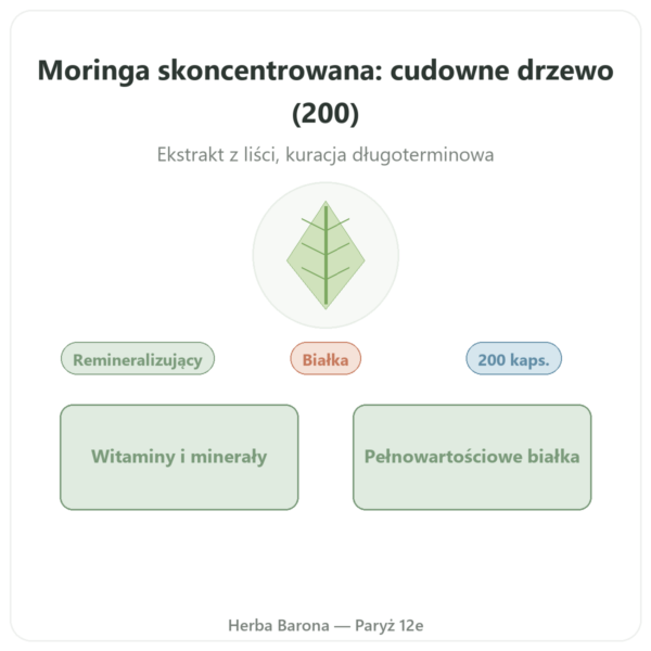 Moringa skoncentrowana 300 mg – 200 kapsułek prezentacja Paris Herba Barona