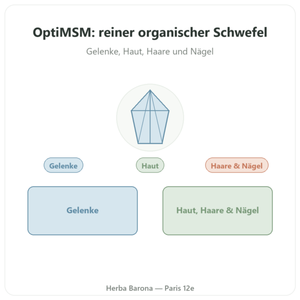 MSM OptiMSM® – Dynveo – 750 mg – 180 Kapseln Vorstellung Paris Herba Barona