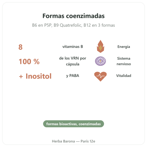 Complejo Vitaminas B – Multi B – 60 cápsulas – Dynveo beneficios y datos clave Paris Herba Barona