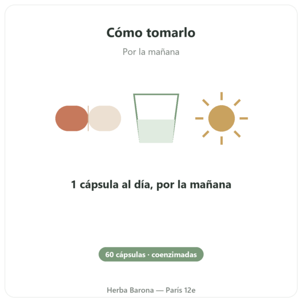 Complejo Vitaminas B – Multi B – 60 cápsulas – Dynveo modo de empleo y dosis Paris Herba Barona