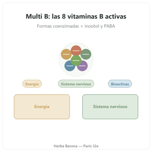 Complejo Vitaminas B – Multi B – 60 cápsulas – Dynveo presentación Paris Herba Barona