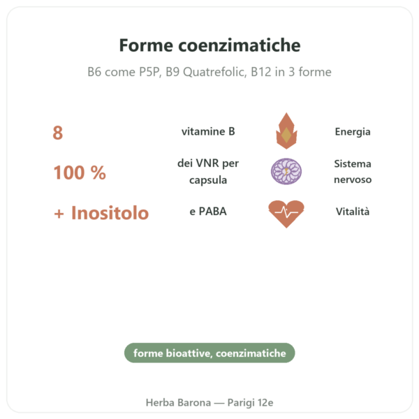Complesso Vitamine B – Multi B – 60 capsule – Dynveo benefici e dati chiave Paris Herba Barona