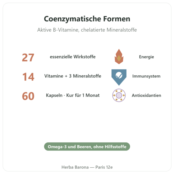 Multivitamin Multi 27 – Dynveo – 60 Kapseln Vorteile und Fakten Paris Herba Barona
