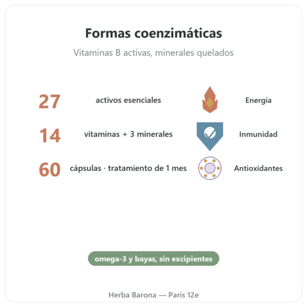 Multivitaminas Multi 27 – Dynveo – 60 cápsulas beneficios y datos clave Paris Herba Barona