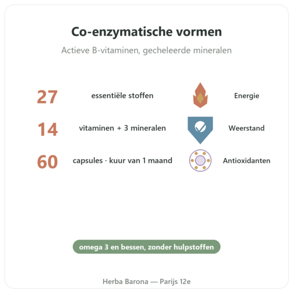 Multivitamine Multi 27 – Dynveo – 60 Capsules voordelen en kerngegevens Paris Herba Barona