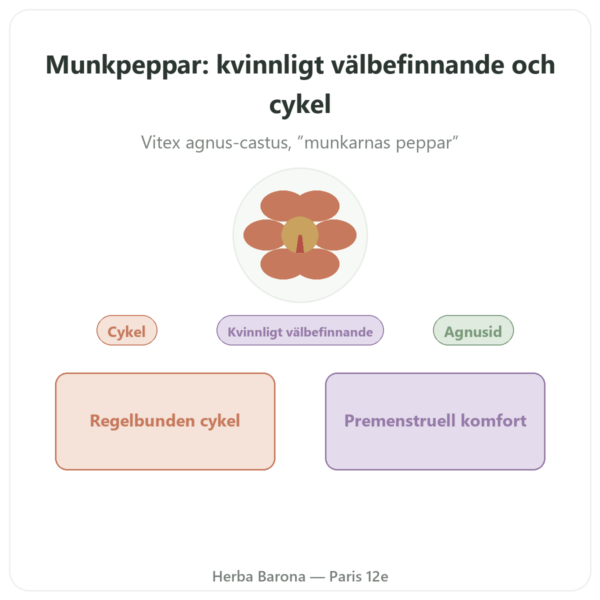 Munkpeppar Extrakt 250 mg – 0,6% Agnusid – 60 kapslar presentation Paris Herba Barona