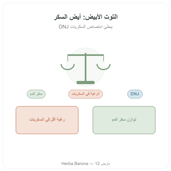 التوت الأبيض – بتركيز 5% DNJ – 60 كبسولة – DYNVEO عرض المنتج Paris Herba Barona
