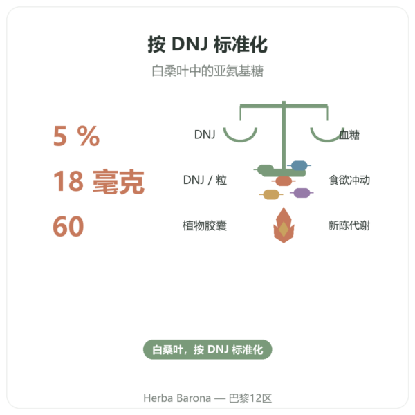 白桑叶 – DNJ 含量 5% – 60 粒胶囊 – DYNVEO 功效与数据 Paris Herba Barona