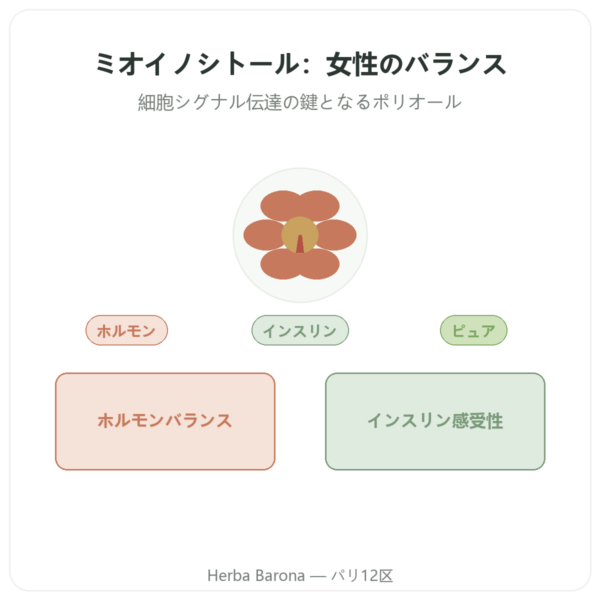 Myo-Inositol – Dynveo – 150カプセル presentation Paris Herba Barona