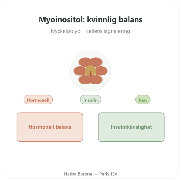Myo-Inositol – Dynveo – 150 kapslar presentation Paris Herba Barona
