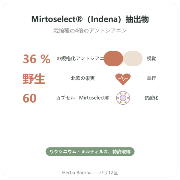 野生ビルベリーエキス – Dynveo – 60カプセル benefits and key facts Paris Herba Barona