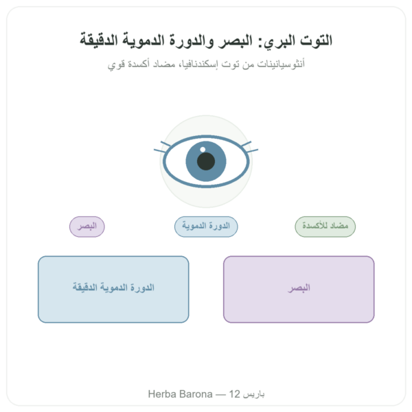 خلاصة التوت البري البري – Dynveo – 60 كبسولة عرض المنتج Paris Herba Barona