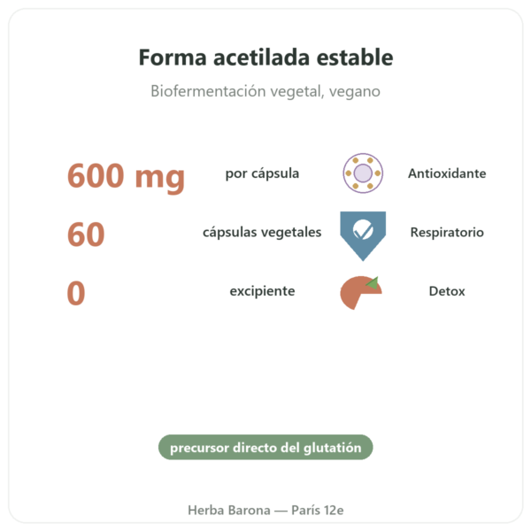 N-Acetil-Cisteína NAC – Dynveo – 600mg – 60 cápsulas beneficios y datos clave Paris Herba Barona