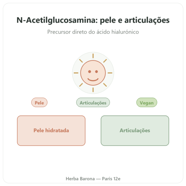 N-Acetil Glucosamina (NAG) 500mg – 60 cápsulas – Dynveo apresentação Paris Herba Barona