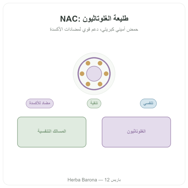 NAC (إن-أسيتيل سيستئين) 1000 ملغ – 120 قرصًا – Now Foods عرض المنتج Paris Herba Barona