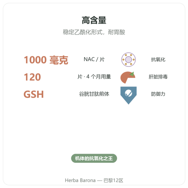 NAC（N-乙酰半胱氨酸）1000 mg - 120 片 – Now Foods 功效与数据 Paris Herba Barona