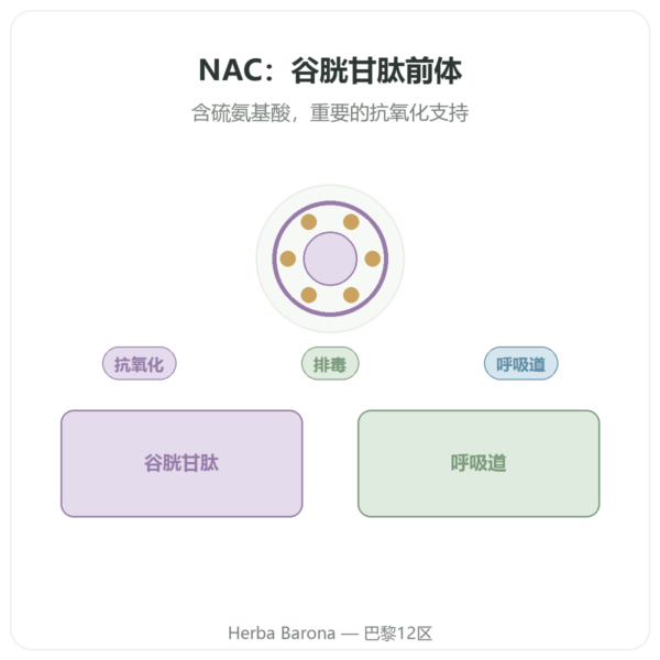 NAC（N-乙酰半胱氨酸）1000 mg - 120 片 – Now Foods 产品展示 Paris Herba Barona
