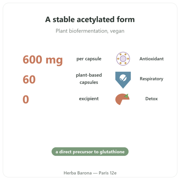 N-Acetyl-Cysteine NAC – Dynveo – 600mg – 60 Capsules benefits and key facts Paris Herba Barona
