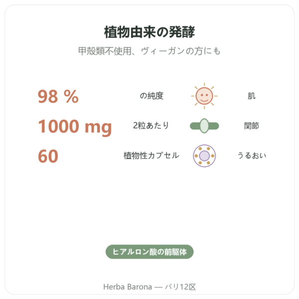 N-アセチルグルコサミン (NAG) 500mg – 60カプセル – Dynveo benefits and key facts Paris Herba Barona