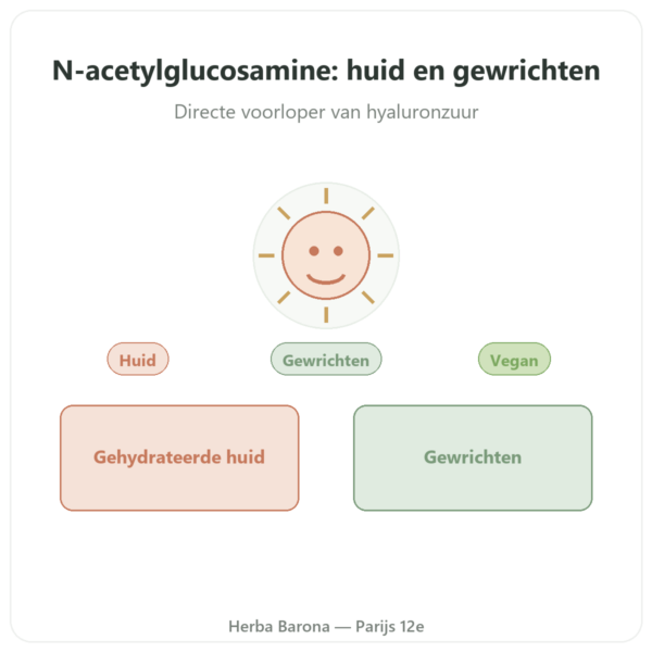 N-Acetyl Glucosamine (NAG) 500mg – 60 capsules – Dynveo presentatie Paris Herba Barona
