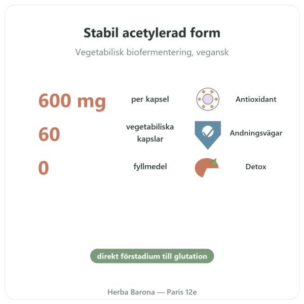 N-Acetylcystein NAC – Dynveo – 600 mg – 60 kapslar fördelar och nyckelfakta Paris Herba Barona