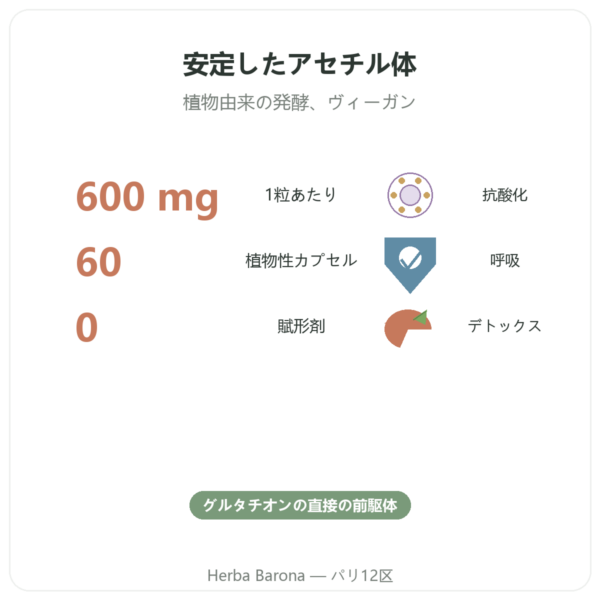 N-アセチルシステイン NAC – Dynveo – 600mg – 60カプセル benefits and key facts Paris Herba Barona