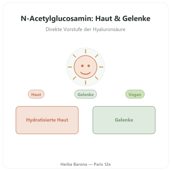 N-Acetylglucosamin NAG – Dynveo – 500 mg – 60 Kapseln Vorstellung Paris Herba Barona