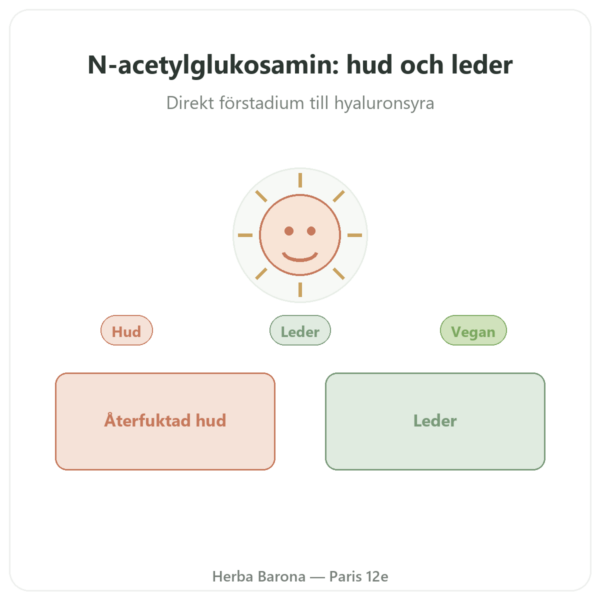 N-Acetylglukosamin (NAG) 500mg – 60 kapslar – Dynveo presentation Paris Herba Barona