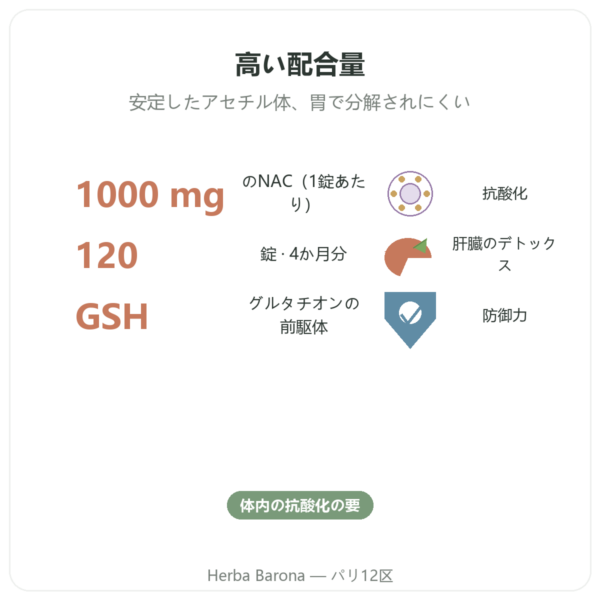 NAC（N-アセチルシステイン）1000 mg 120タブレット – Now Foods benefits and key facts Paris Herba Barona